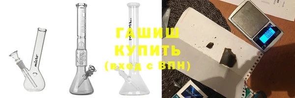 гашик Алексин