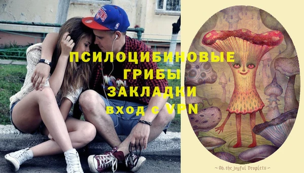 мет Аркадак