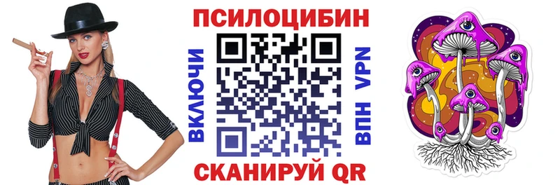 hydra зеркало  Киселёвск  Псилоцибиновые грибы Psilocybe 